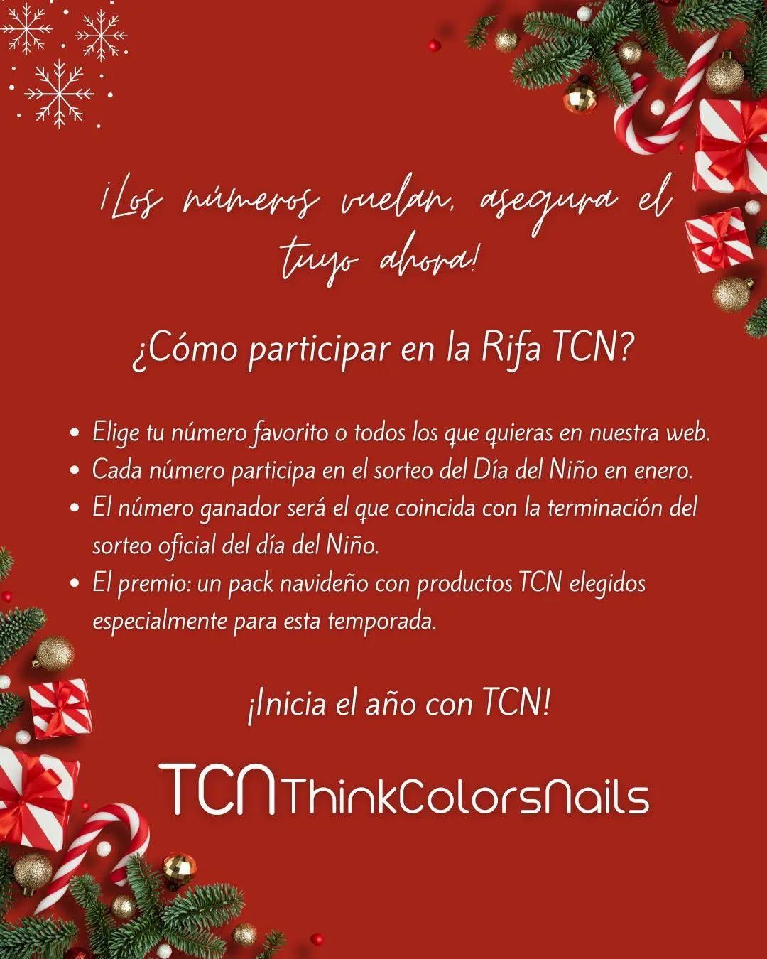 RIFA NAVIDAD TCN - Imagen 3